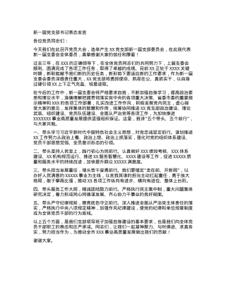 党支部换届新一届党支部书记表态发言.docx