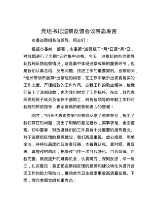 党组书记巡察反馈会议表态发言.docx