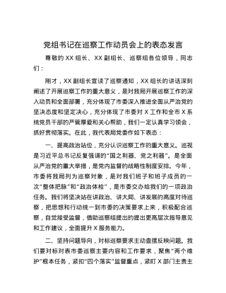 党组书记在巡察工作动员会上的表态发言.docx