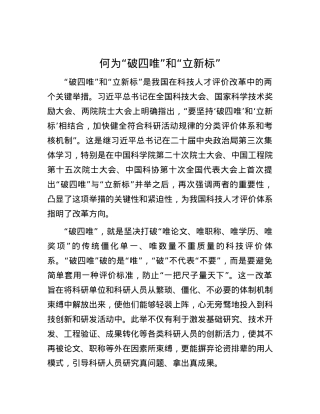 何为“破四唯”和“立新标”.docx