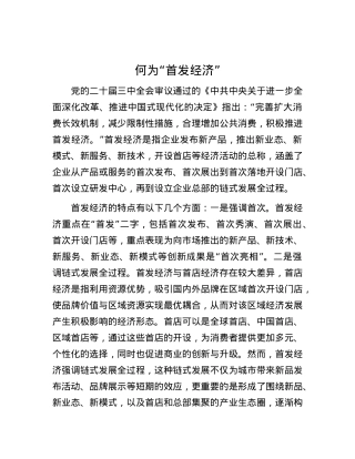 何为“首发经济”.docx