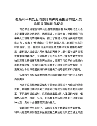 弘扬和平共处五项原则精神内涵 担当构建人类命运共同体时代使命.docx