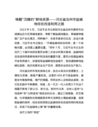 唤醒“沉睡的”耕地资源——河北省沧州市盐碱地综合改造利用之路.docx