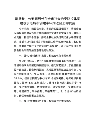 副县长、公安局局长在全市社会治安防控体系建设示范城市创建半年推进会上的发言.docx