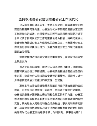 坚持以法治公安建设推进公安工作现代化.docx