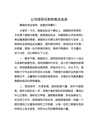公司领导任新职表态发言.docx