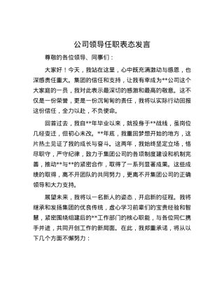 公司领导任职表态发言.docx