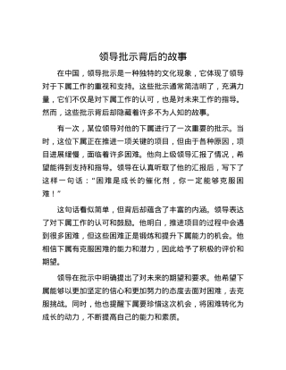 领导批示背后的故事.docx
