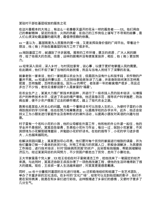 某驻村干部在基层绽放的服务之花.docx