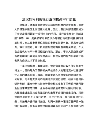 浅议如何利用银行查询提高审计质量.docx