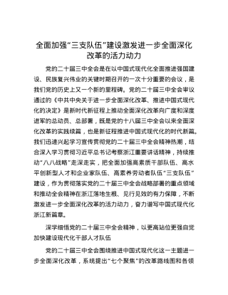全面加强“三支队伍”建设激发进一步全面深化改革的活力动力.docx