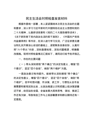 民主生活会对照检查发言材料.docx