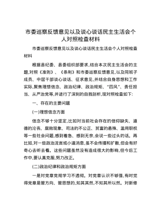 市委巡察反馈意见以及谈心谈话民主生活会个人对照检查材料.docx