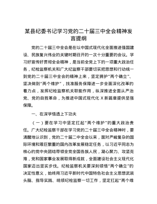 某县纪委书记学习党的二十届三中全会精神发言提纲.docx