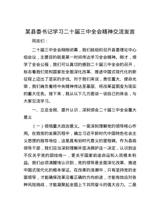 某县委书记学习二十届三中全会精神交流发言.docx