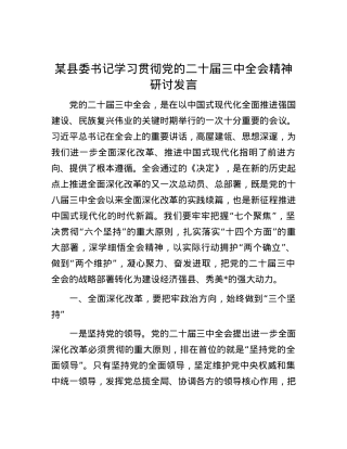 某县委书记学习贯彻党的二十届三中全会精神研讨发言.docx