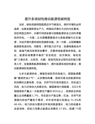 提升系统韧性推动能源低碳转型.docx