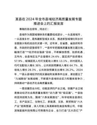 某县在2024年全市县域经济高质量发展专题推进会上的汇报发言.docx
