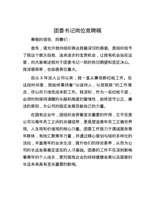 团委书记岗位竞聘稿.docx