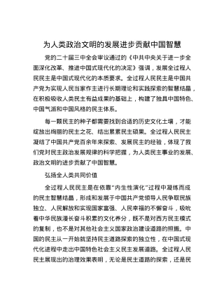 为人类政治文明的发展进步贡献中国智慧.docx