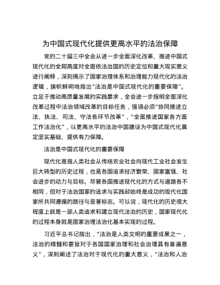 为中国式现代化提供更高水平的法治保障.docx