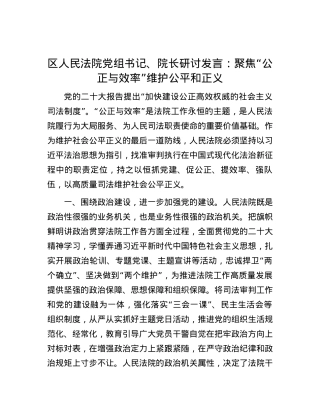 区人民法院党组书记、院长研讨发言：聚焦“公正与效率” 维护公平和正义.docx