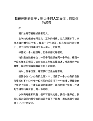 我在体制的日子：别让任何人定义你，包括你的领导.docx