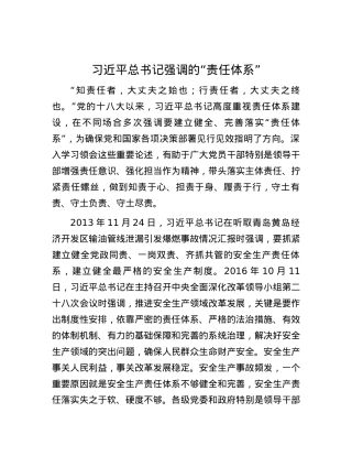 习近平总书记强调的“责任体系”.docx