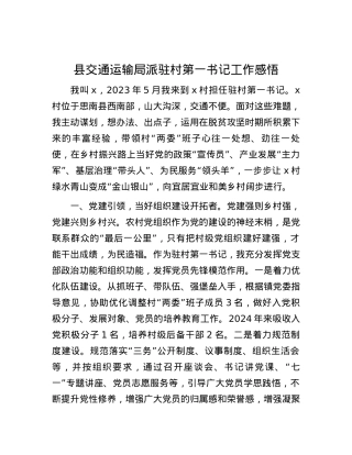 县交通运输局派驻村第一书记工作感悟.docx