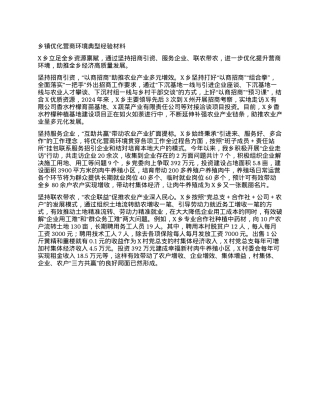 乡镇优化营商环境典型经验材料.docx
