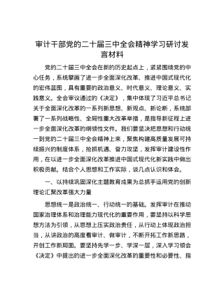 审计干部党的二十届三中全会精神学习研讨发言材料.docx
