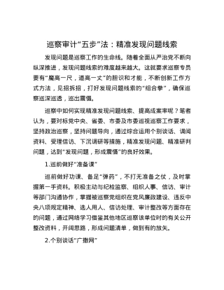 巡察审计“五步”法：精准发现问题线索.docx