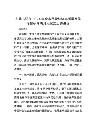 市委书记在2024年全市民营经济高质量发展专题研修班开班仪式上的讲话.docx