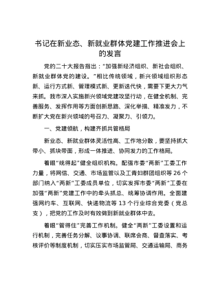 书记在新业态、新就业群体党建工作推进会上的发言.docx
