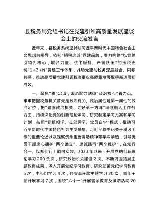 县税务局党组书记在党建引领高质量发展座谈会上的交流发言.docx
