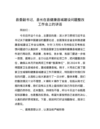 县委副书记、县长在县健康县城建设问题整改工作会上的讲话.docx