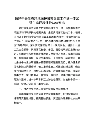 做好中央生态环境保护督察后续工作进一步加强生态环境保护总体安排.docx