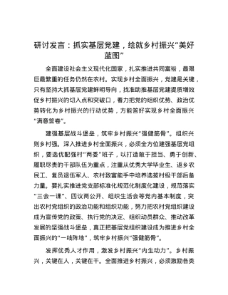 研讨发言：抓实基层党建，绘就乡村振兴“美好蓝图”.docx
