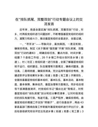 在“排队抓尾、双整双创”行动专题会议上的交流发言.docx