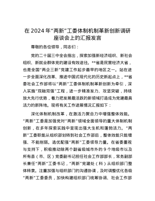 在2024年“两新”工委体制机制革新创新调研座谈会上的汇报发言.docx