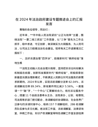 在2024年法治政府建设专题推进会上的汇报发言.docx