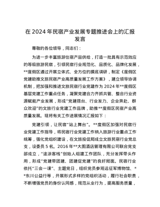 在2024年民宿产业发展专题推进会上的汇报发言.docx