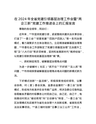 在2024年全省党建引领基层治理工作会暨“两企三新”党建工作推进会上的汇报发言.docx