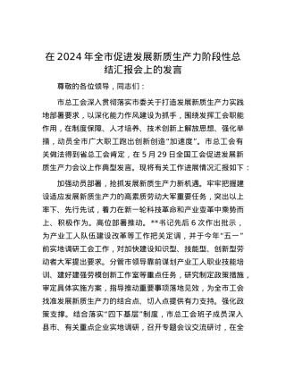 在2024年全市促进发展新质生产力阶段性总结汇报会上的发言.docx