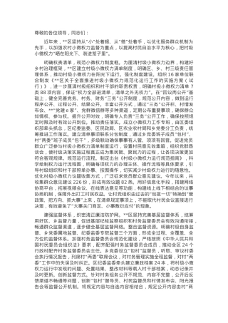 在2024年全市村级小微权力专项整治工作专题推进会上的汇报发言.docx