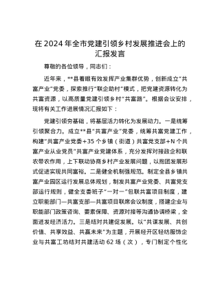 在2024年全市党建引领乡村发展推进会上的汇报发言.docx
