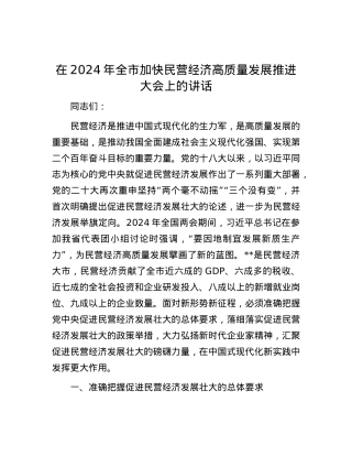 在2024年全市加快民营经济高质量发展推进大会上的讲话.docx