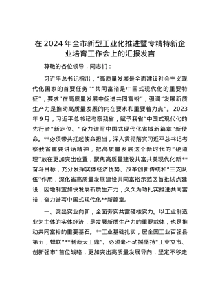 在2024年全市新型工业化推进暨专精特新企业培育工作会上的汇报发言.docx