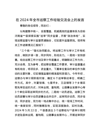 在2024年全市巡察工作经验交流会上的发言.docx