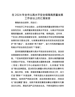 在2024年全市以高水平安全保障高质量发展工作会议上的汇报发言.docx